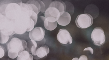 Salon du livre de Toronto